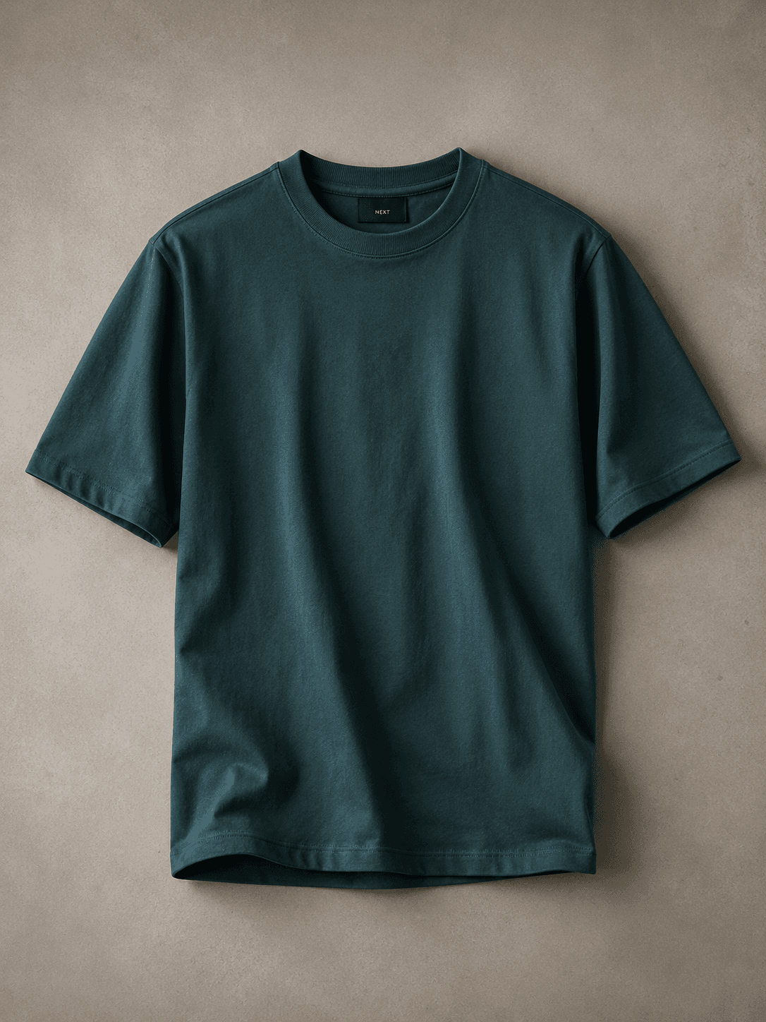 Regular Fit T-Shirt